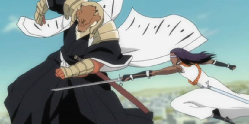 Sajin Komamura & Kaname Tosen (Bleach)