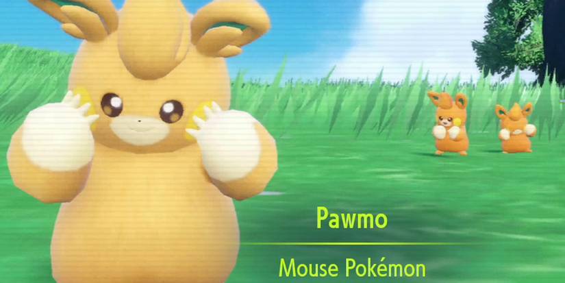 Screenshot Of Pawmo In Pokemon Scarlet & Violet