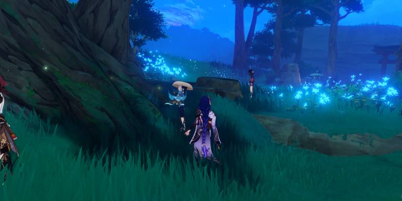 second investigation arae in genshin impact