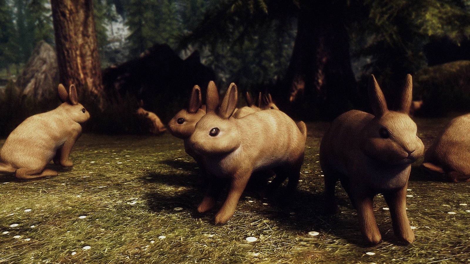 skyrim elder scrolls rabbits slaughtered disturbing player tracks statistic
