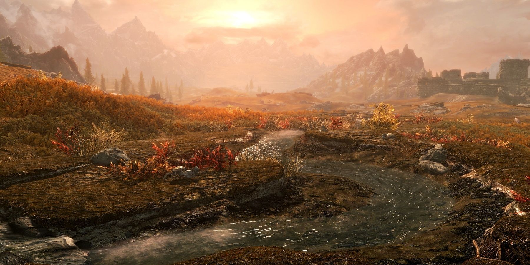 skyrim disccovery about butterflies after 10 years