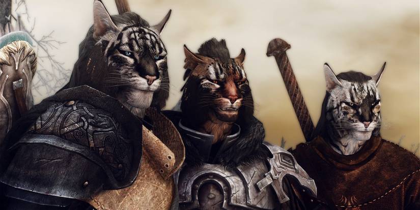 skyrim-khajiit-glitch