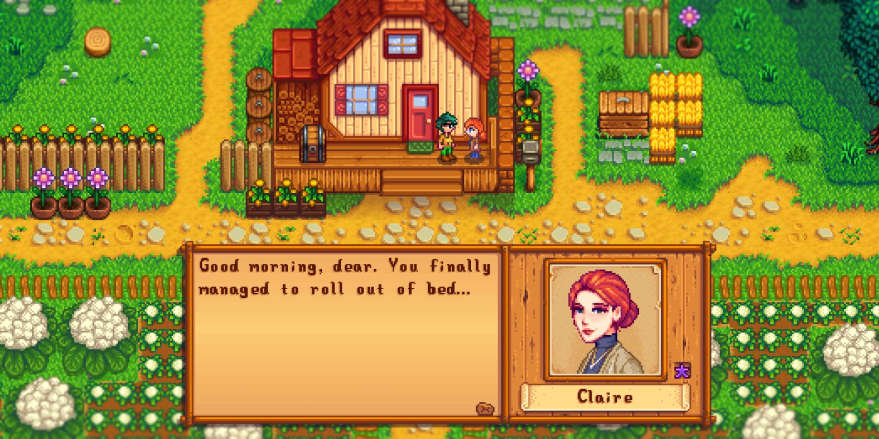Stardew Valley Expanded Claire Marriage