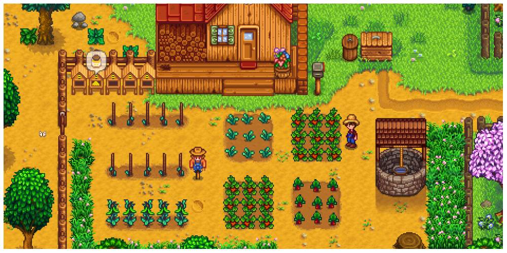 field of crops in Stardew Valley