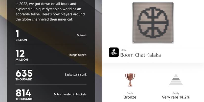 Stats about Stray showing the potential player count