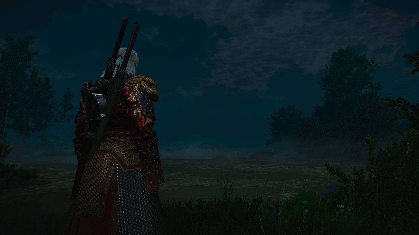 the-witcher-3-next-gen-update-geralt-velen