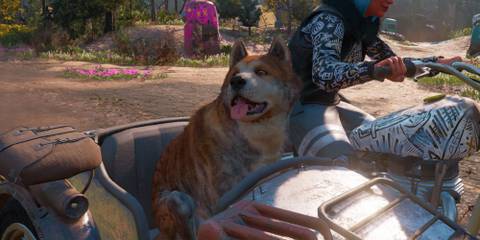 Timber the Shiba Inu from Far Cry New Dawn