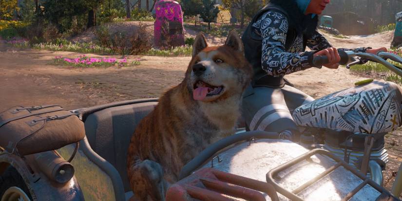 timber in far cry new dawn