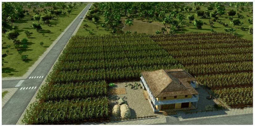 a plantation in Tropico 6