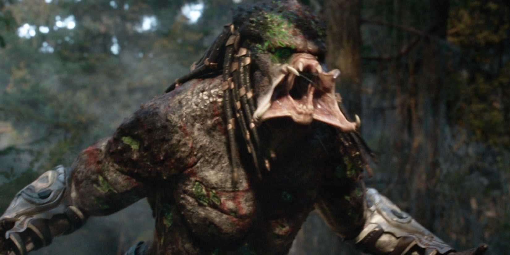 The Most Powerful Predators, Ranked