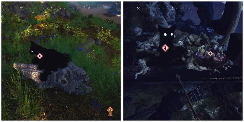 using the blackcat to teleport in blacktail