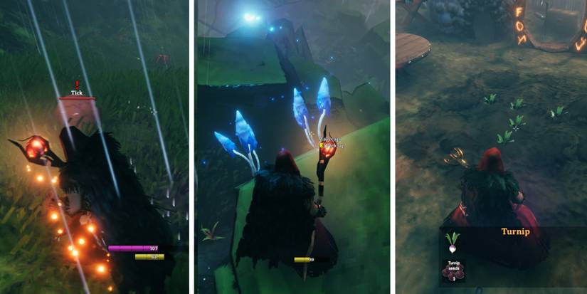 valheim mistlands creatures and resources