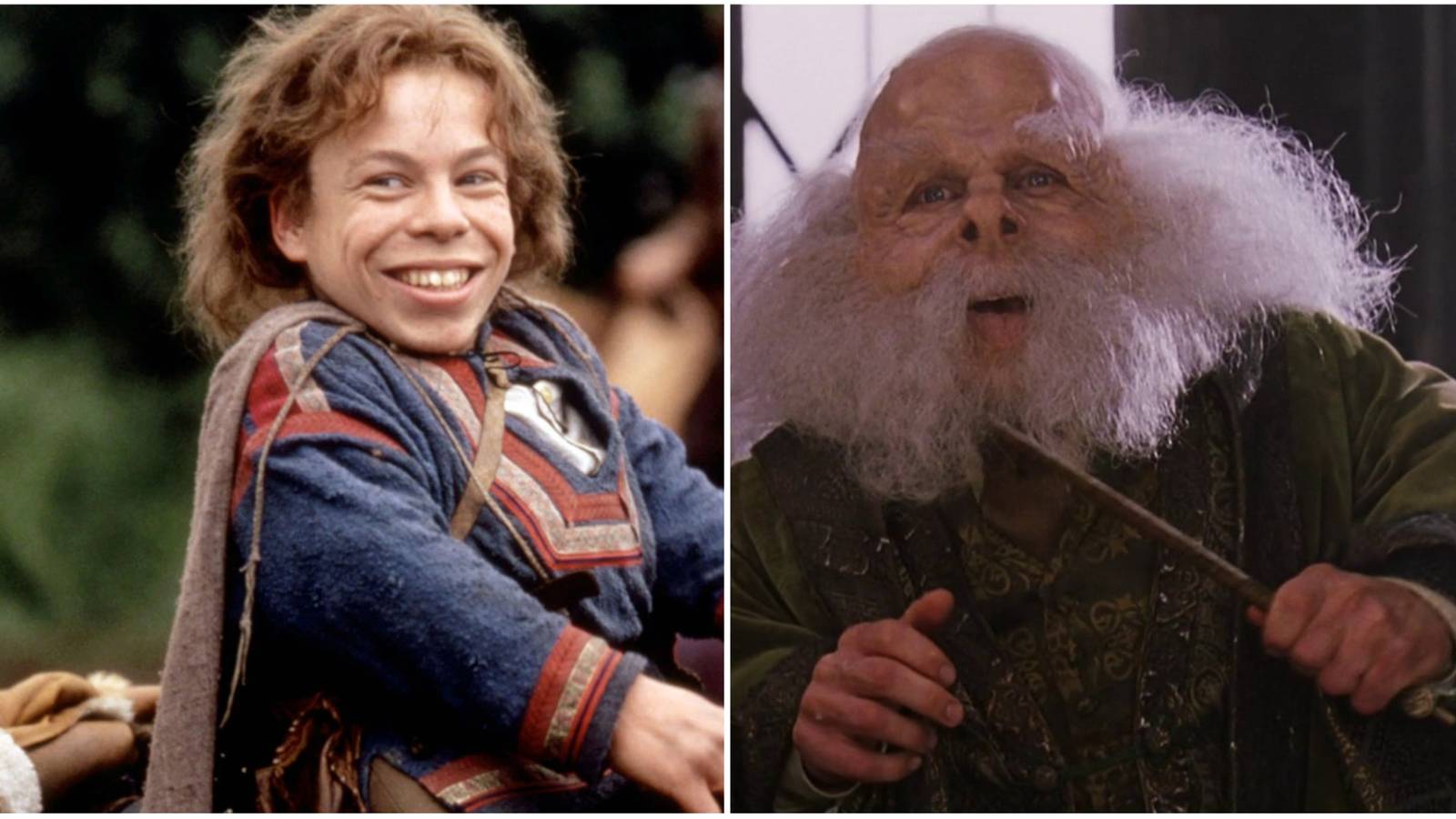 Warwick Davis's Best Movies and TV Shows