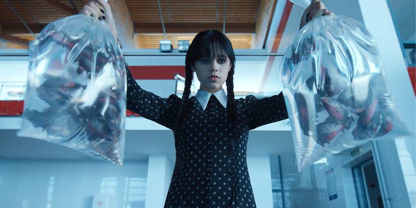 Wednesday lifts two plastic bags full of piranhas