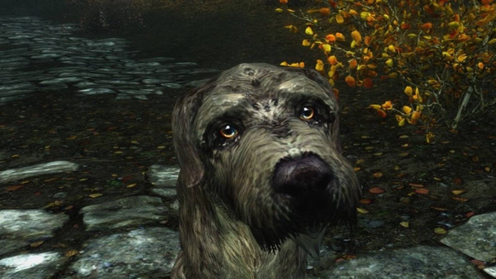 Weird Skyrim Glitch Fills Room With Dogs
