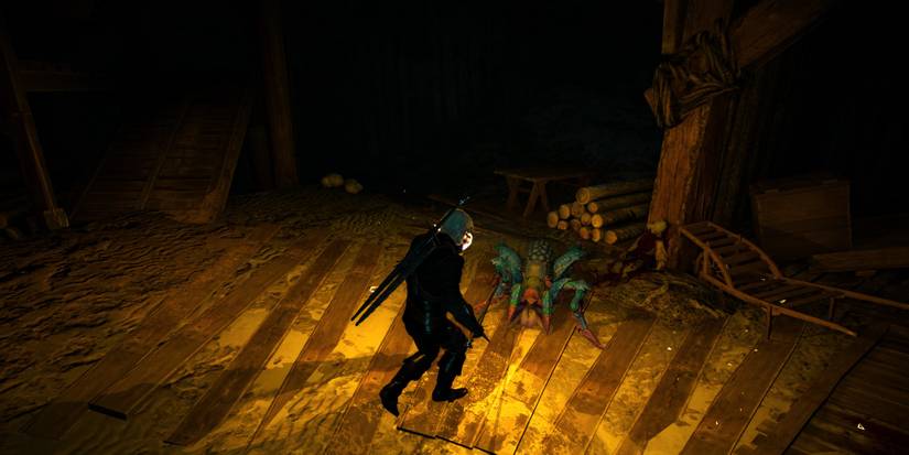 The Witcher Insectoids The Witcher 3: Every Type of Insectoid and How to Beat Them