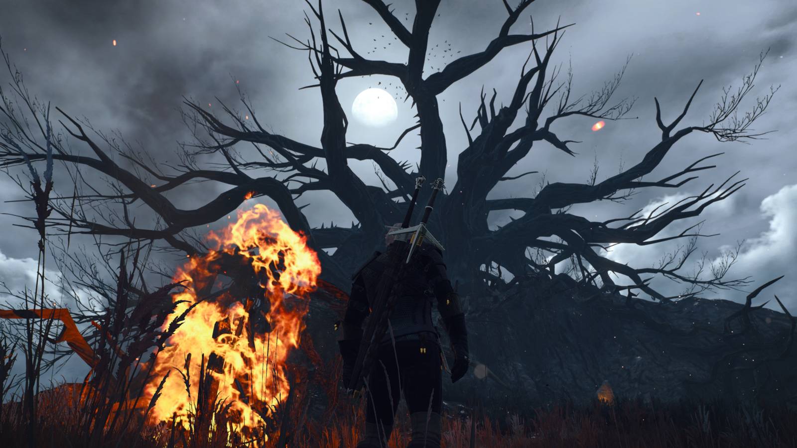 Witcher-3-Bald-Mountain