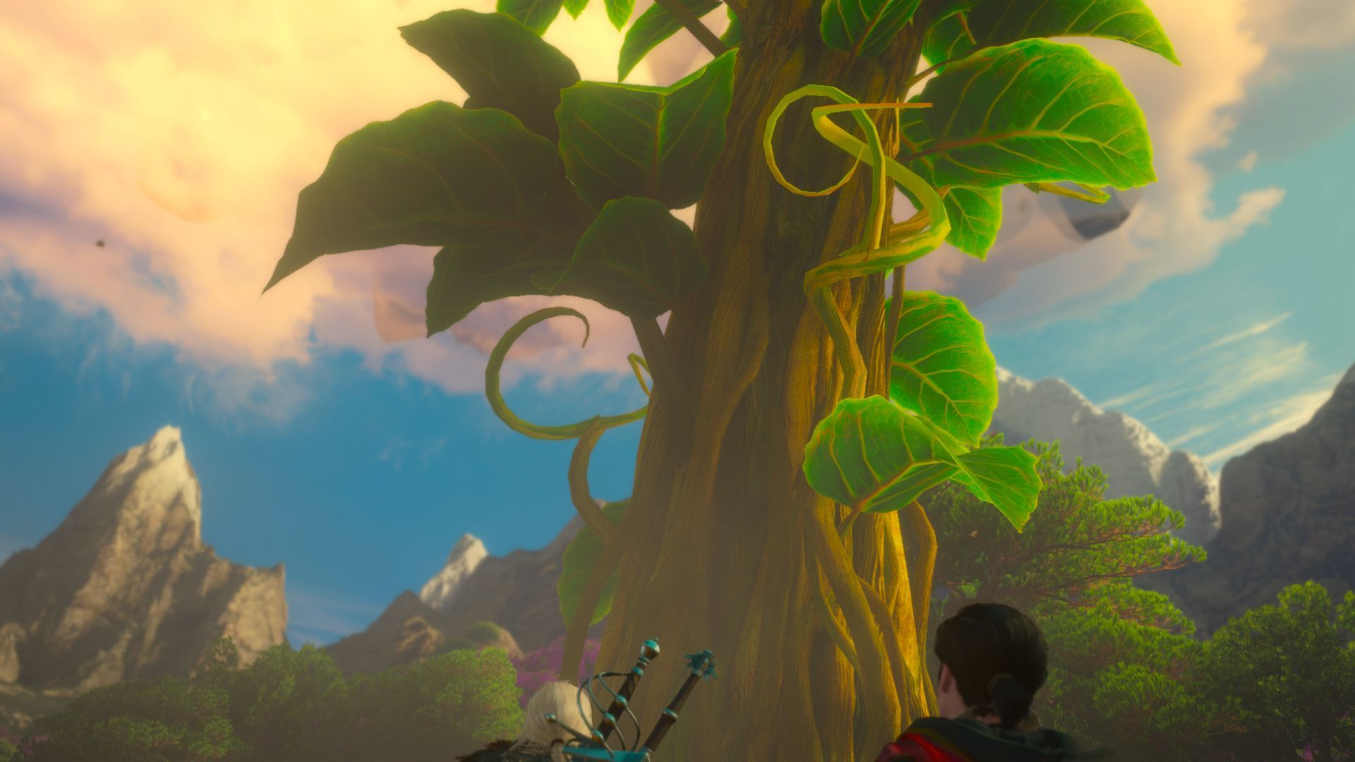 Witcher 3 Beanstalk