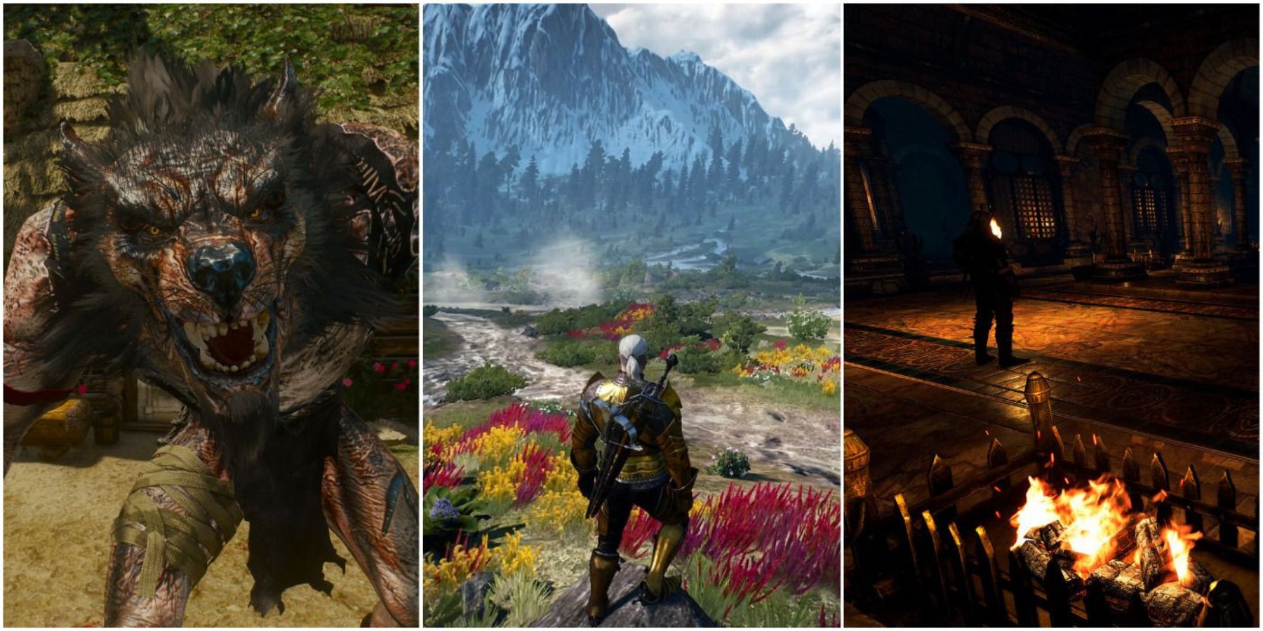 Best Graphic Mods for Witcher 3 for Low-end Pcs