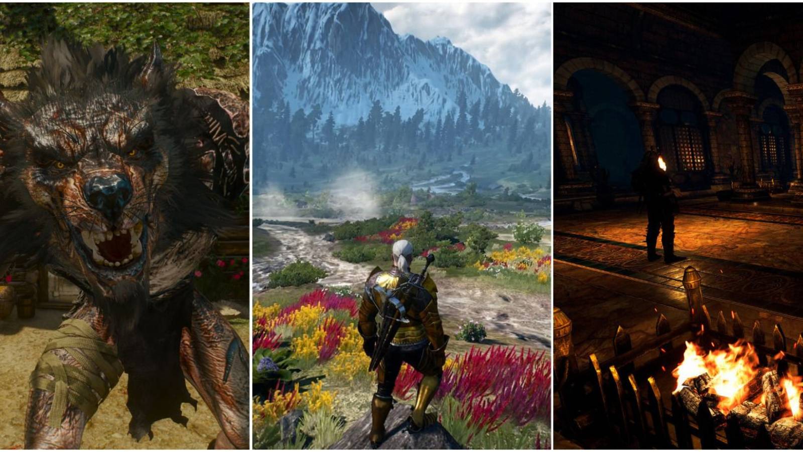Witcher 3 Best Graphics Mods
