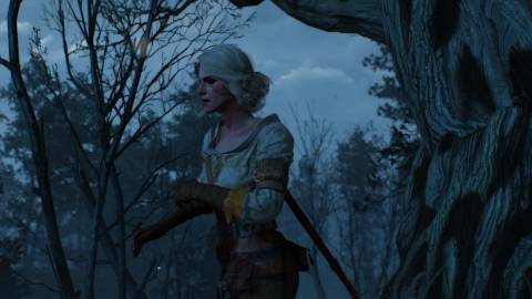 Witcher 3 Ciri Flees