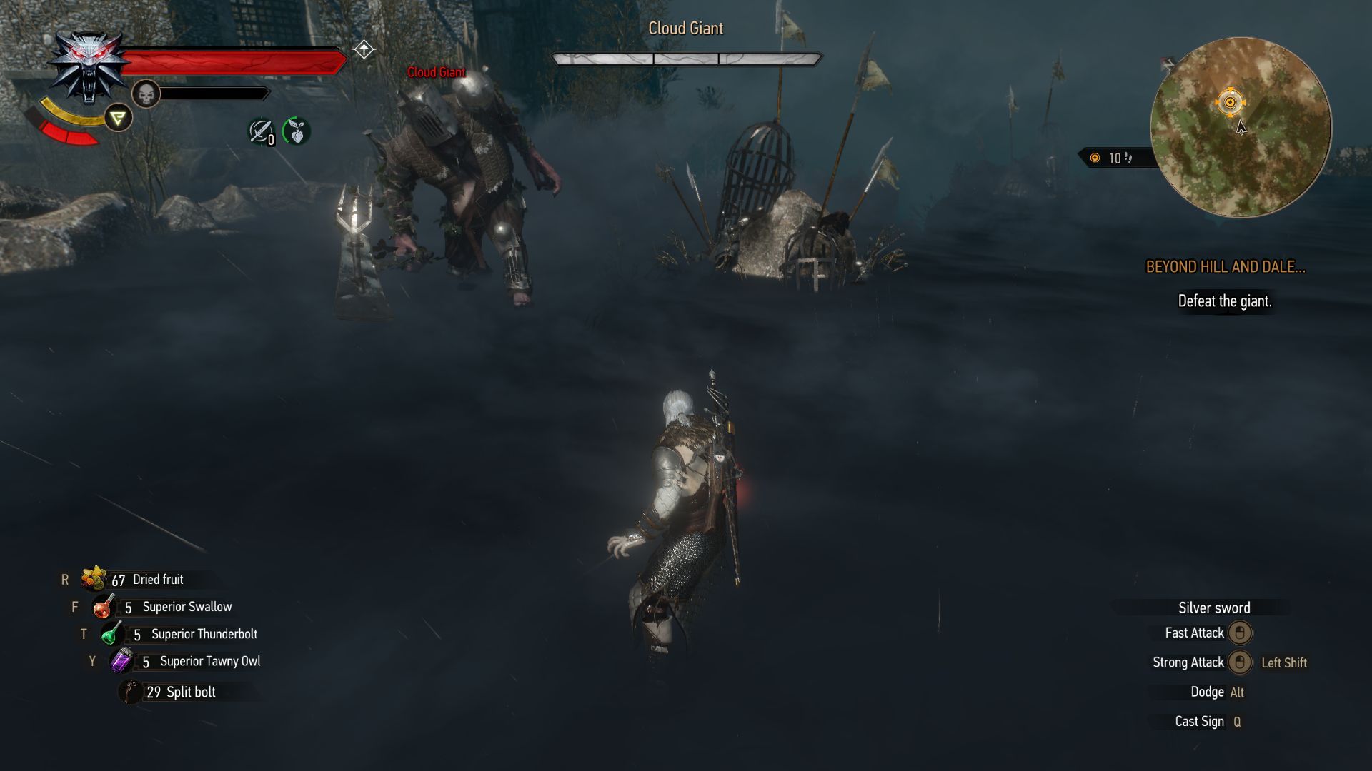 Witcher 3 Cloud Giant Fight