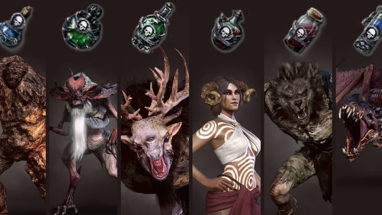 Witcher 3 Decoctions