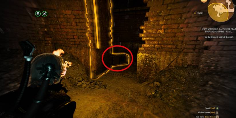 Witcher-3-Enhanced-Feline-Trousers-Chest