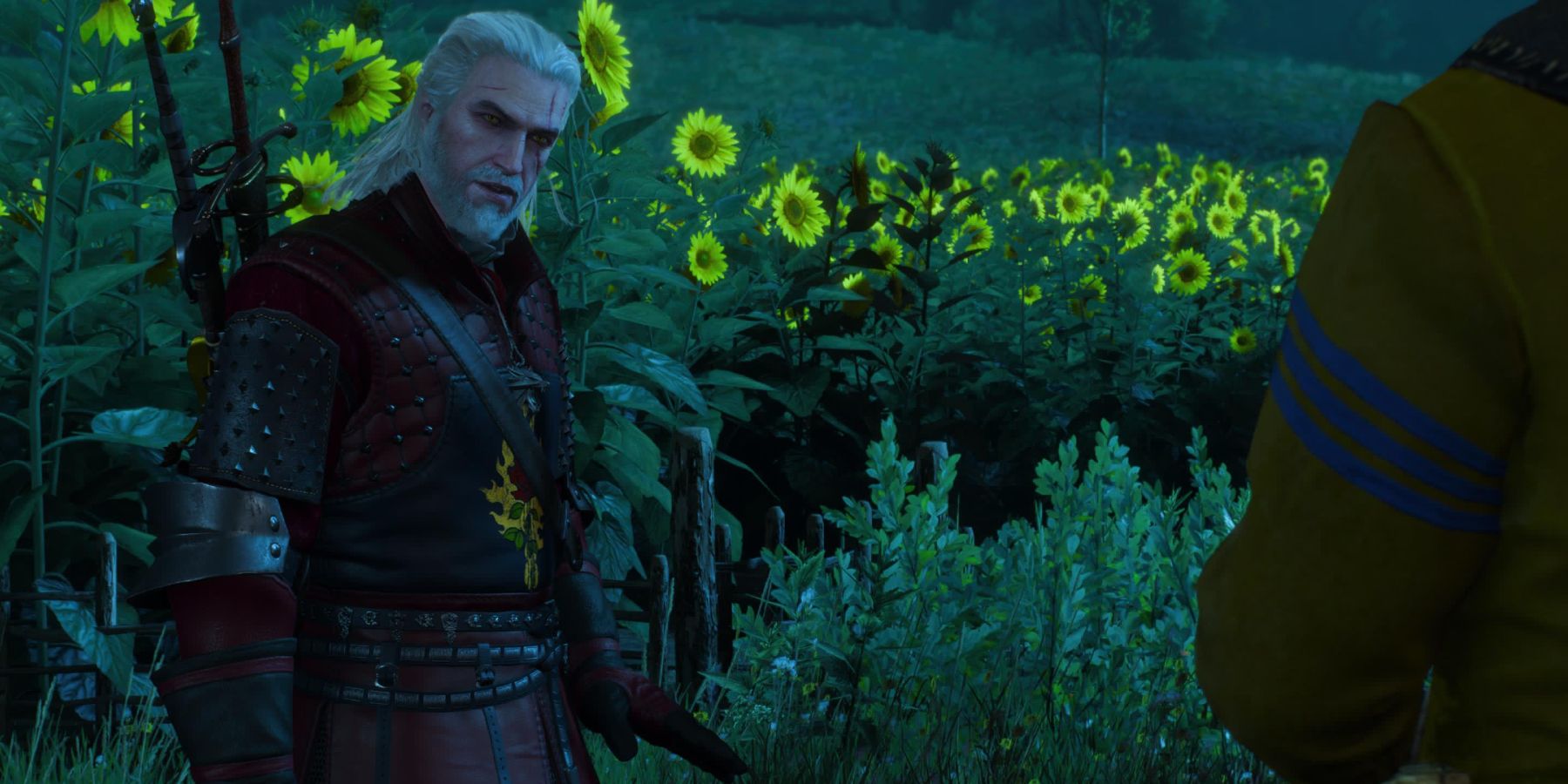 Witcher 3 Geralt agrees to Master Mirror's request