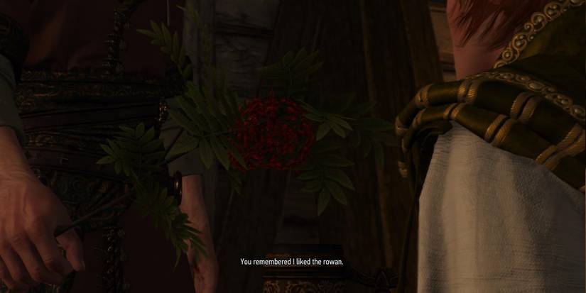 Witcher 3 - Geralt and Shani and rowan petal
