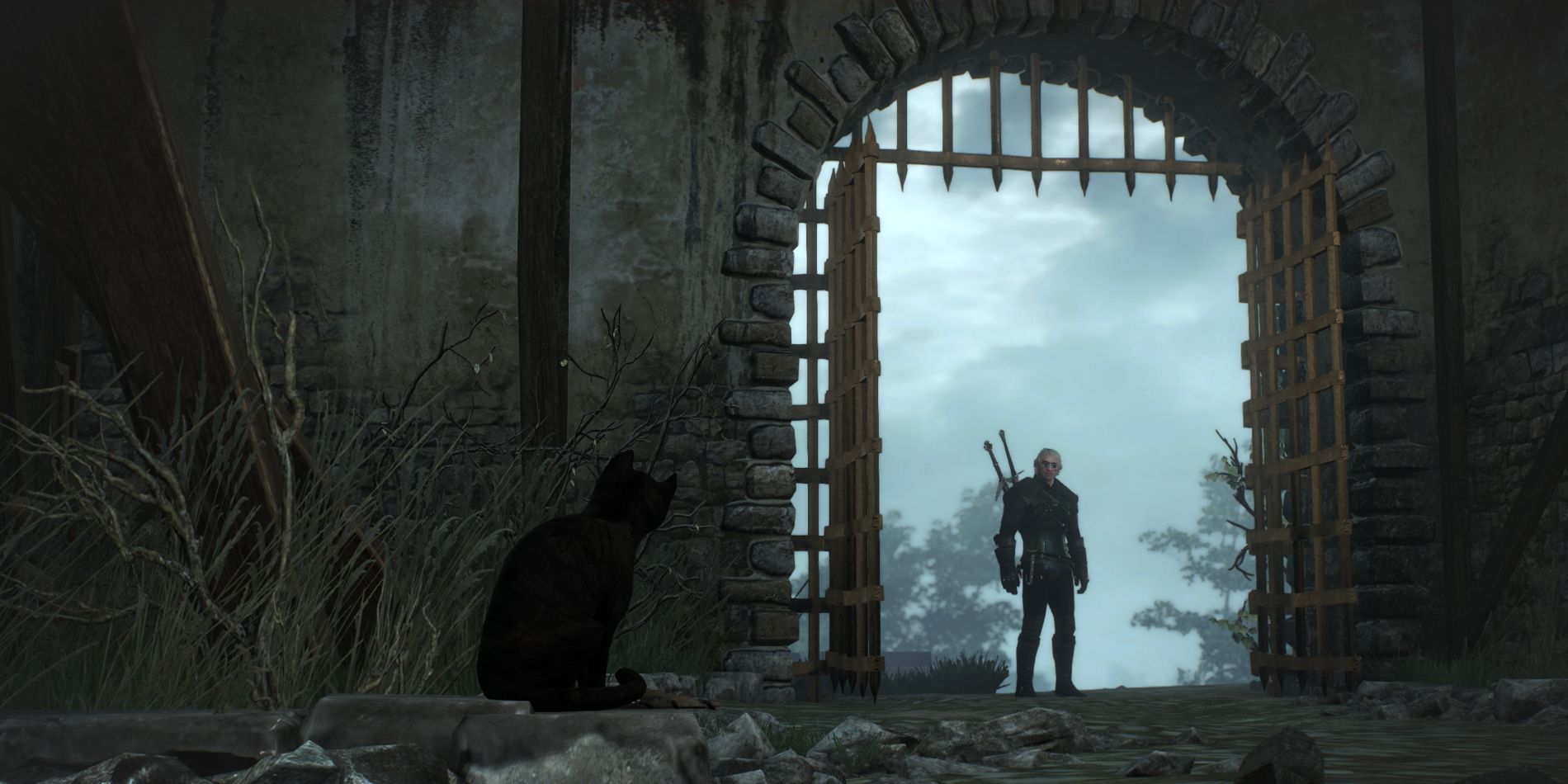Witcher-3-Geralt-Cat