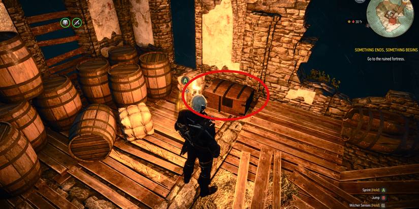 Witcher-3-Griffin-Silver-Sword-Diagram