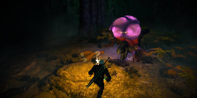 The Witcher Insectoids The Witcher 3: Every Type of Insectoid and How to Beat Them