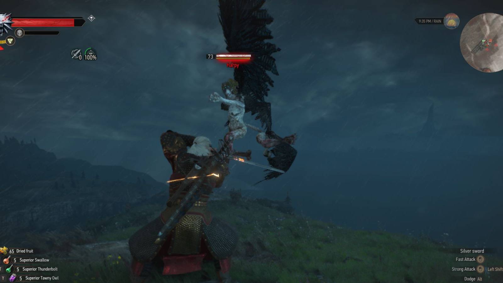 Witcher 3 Harpy