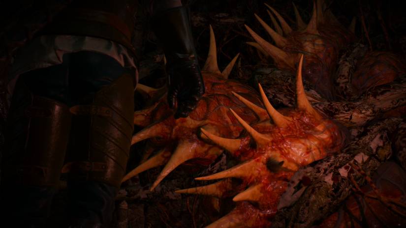 Witcher 3 Hillock Heart