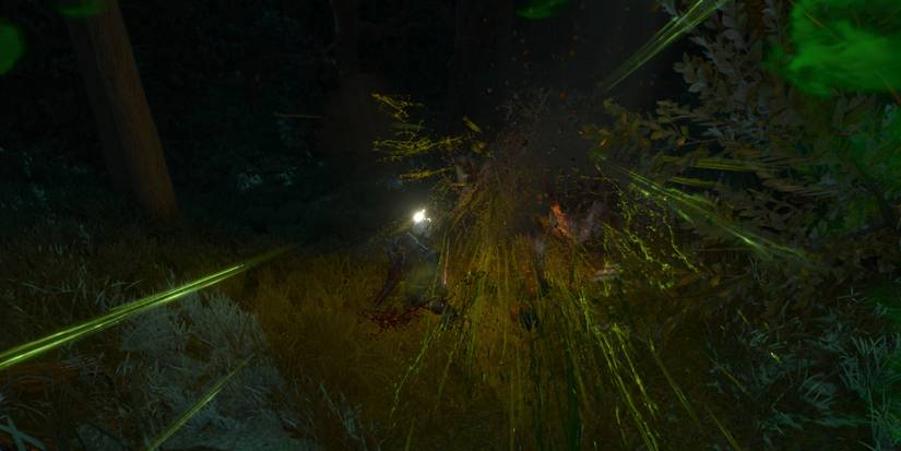 The Witcher Insectoids The Witcher 3: Every Type of Insectoid and How to Beat Them