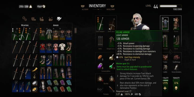 Witcher-3-Light-Armor-Inventory