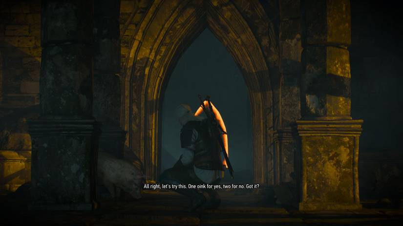 Witcher 3 Oinks