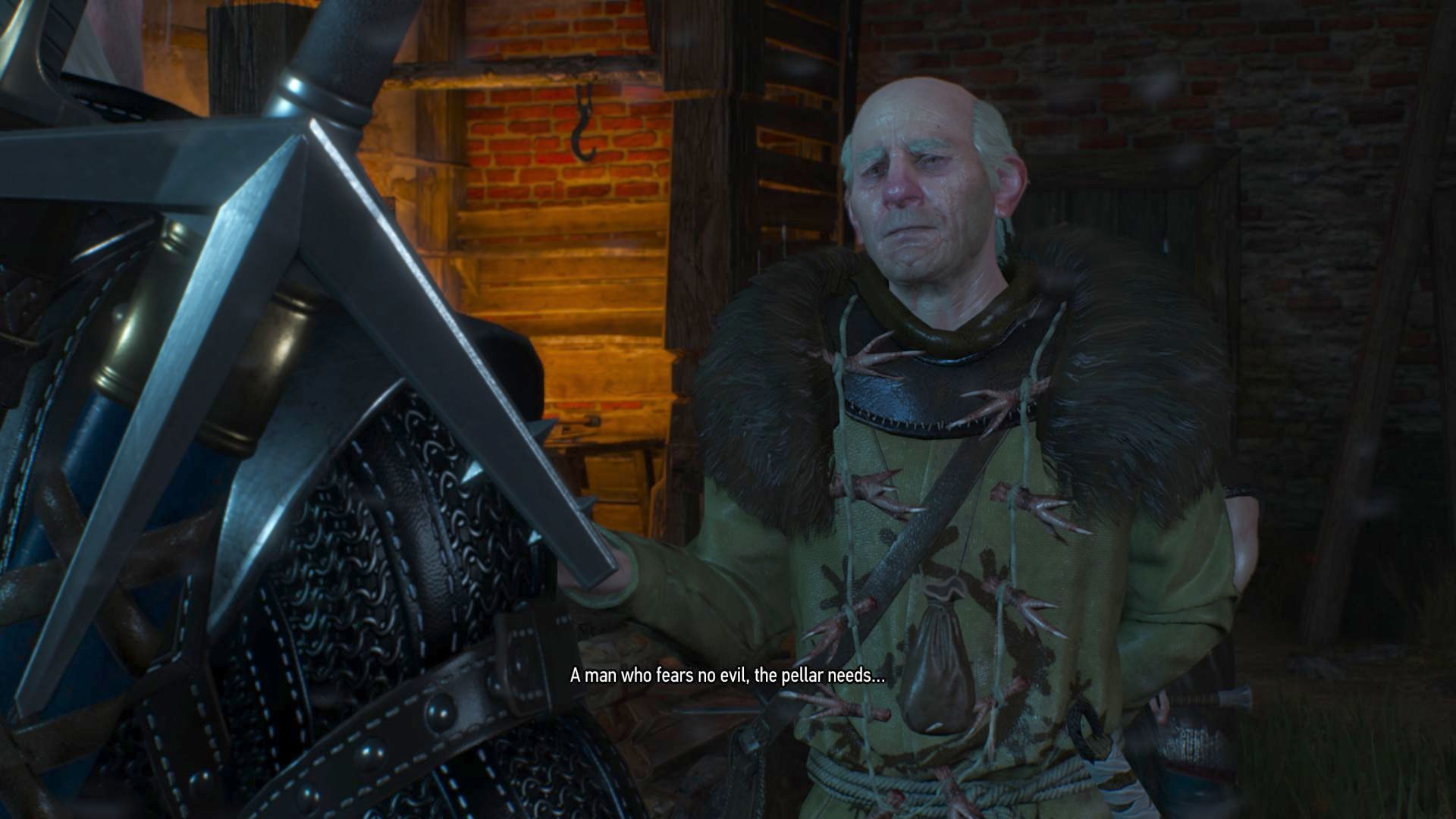 Witcher 3 Pellar