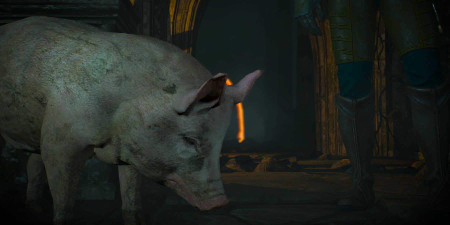 Witcher 3 Pig