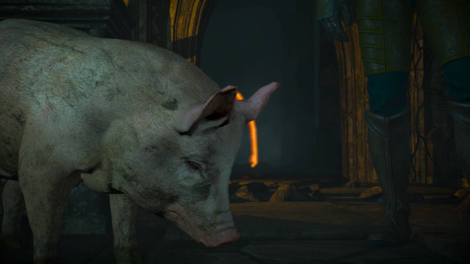 Witcher 3 Pig