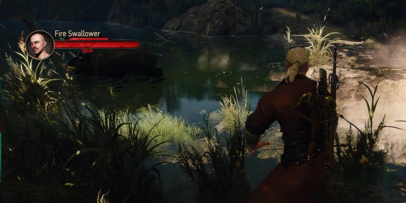 Witcher 3 -  protecting  the fire eater from the boar