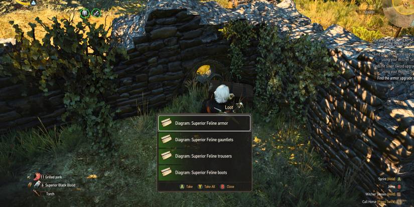 Witcher-3-Superior-Feline-Armor-Diagrams