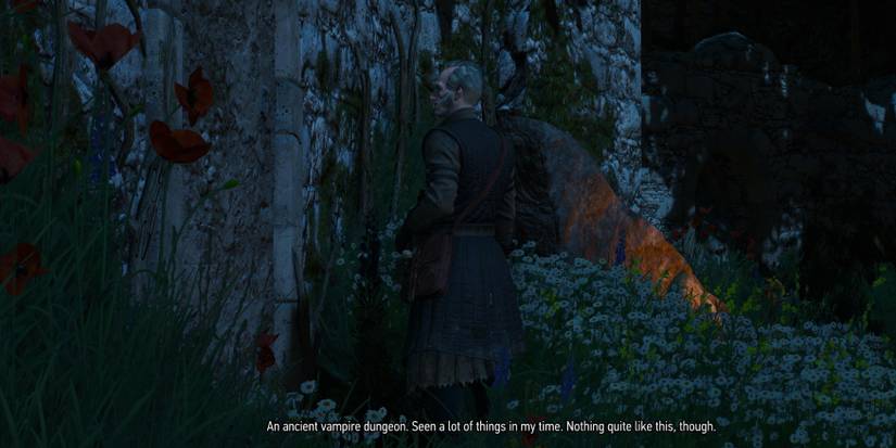 Witcher-3-Tesham-Mutna-Regis-Door