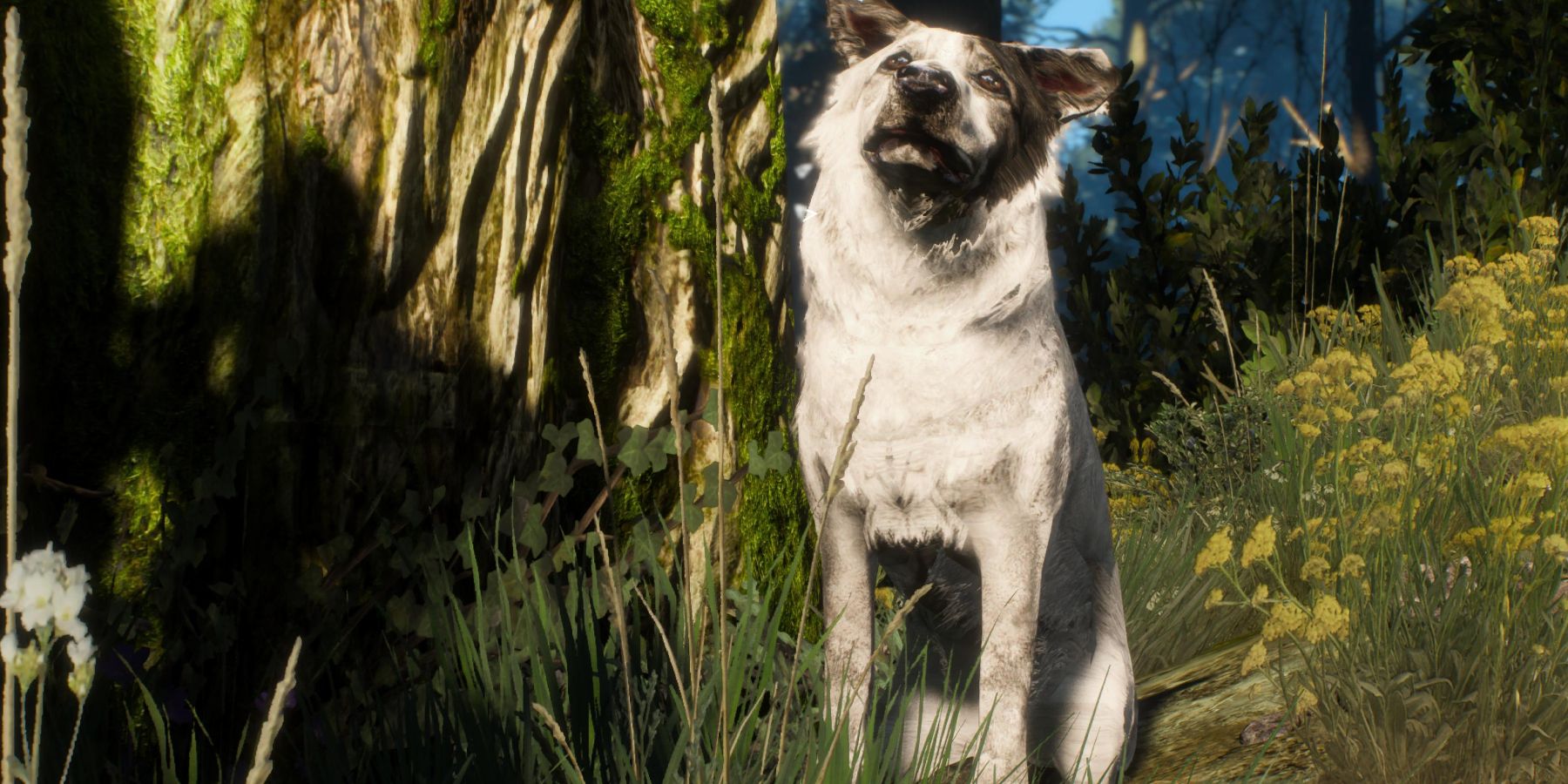 Witcher 3 - the dog after being calmed