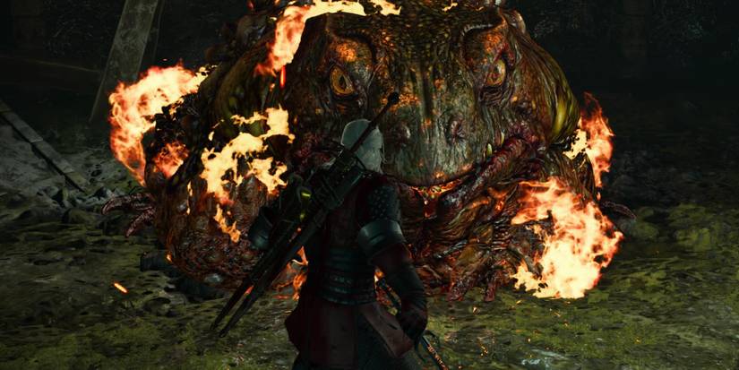 Witcher 3 Using Firestream IGNI on the Toad Prince