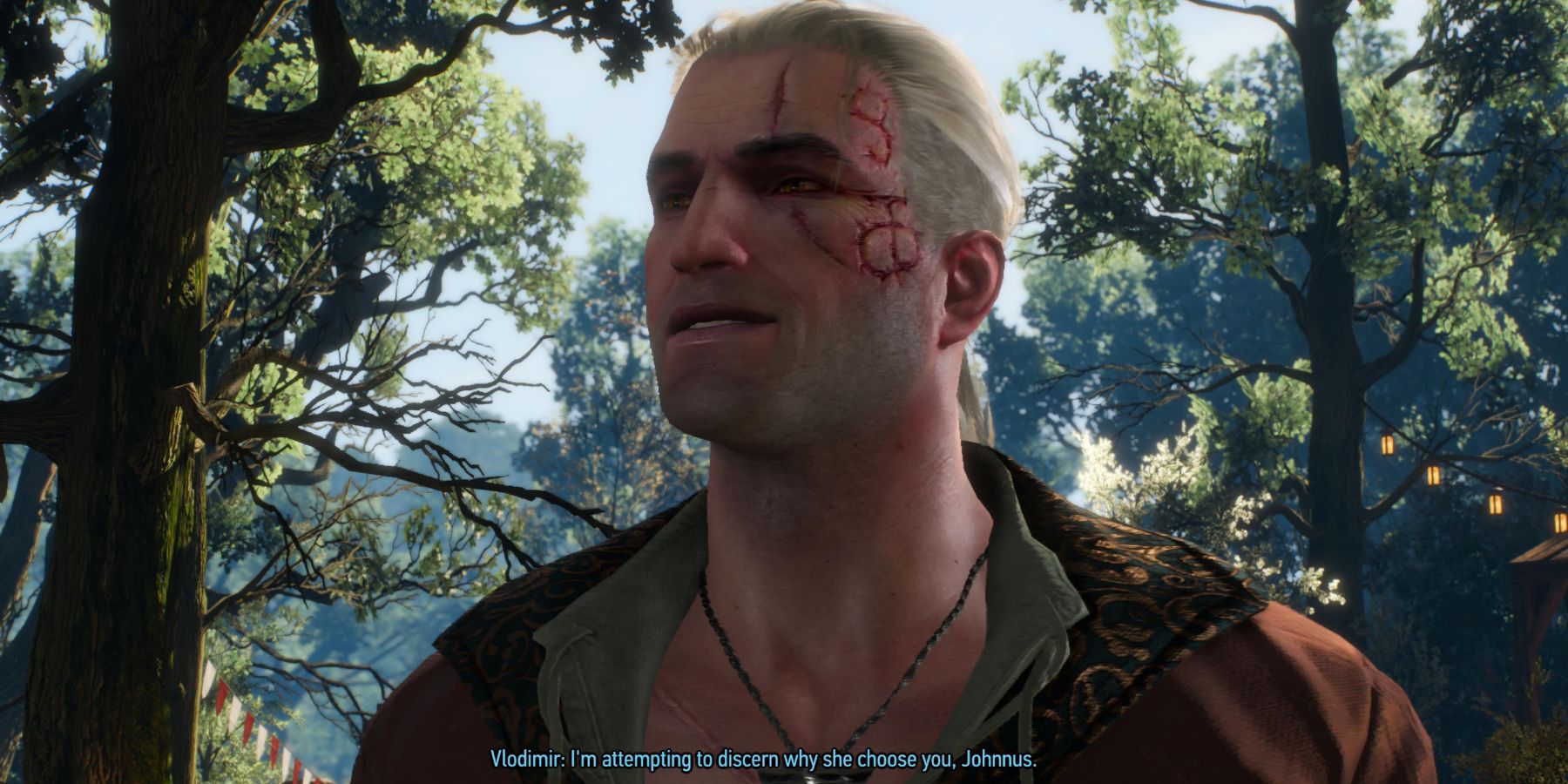 Witcher 3 - Vlodimir as Geralt talking the couple