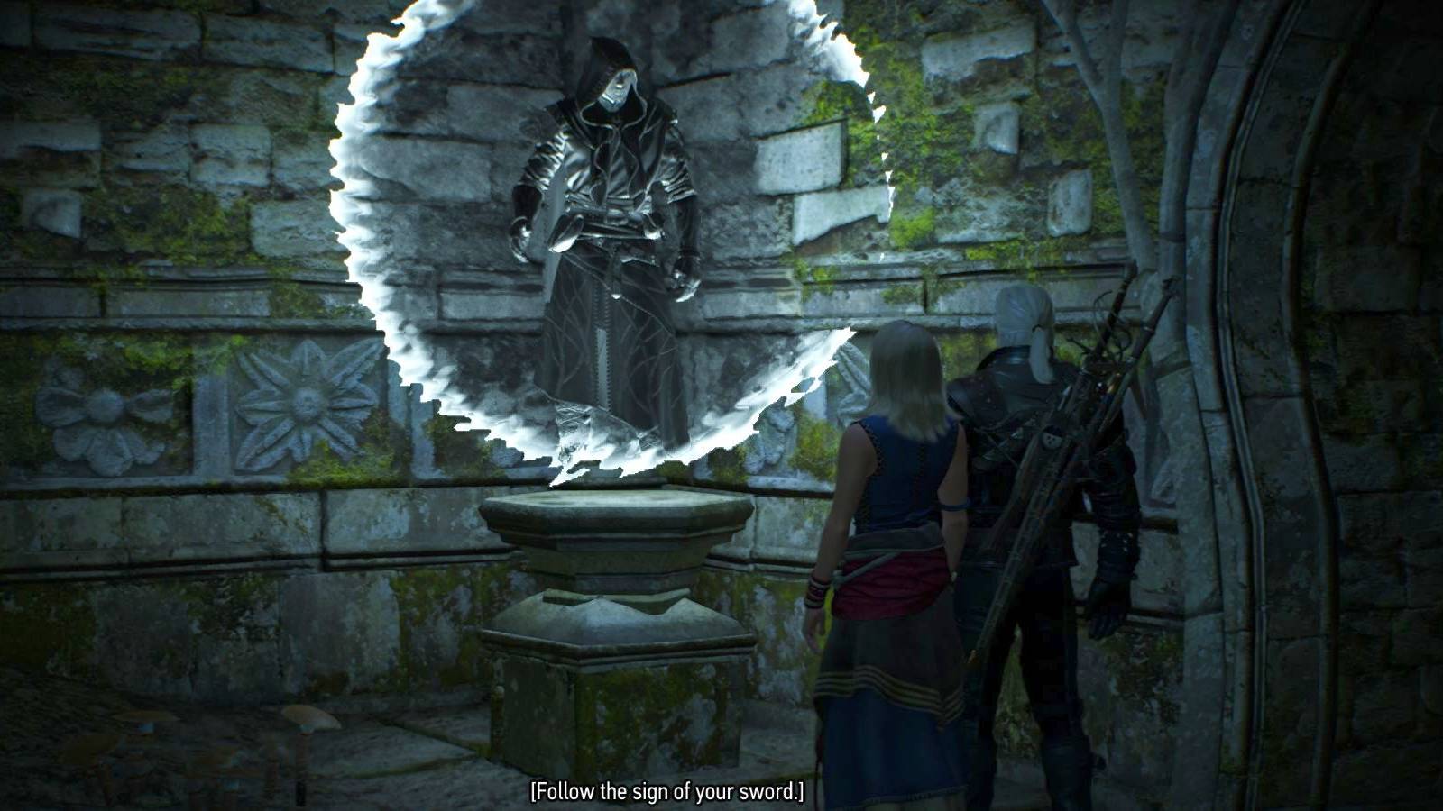 Witcher 3 Wandering Elf