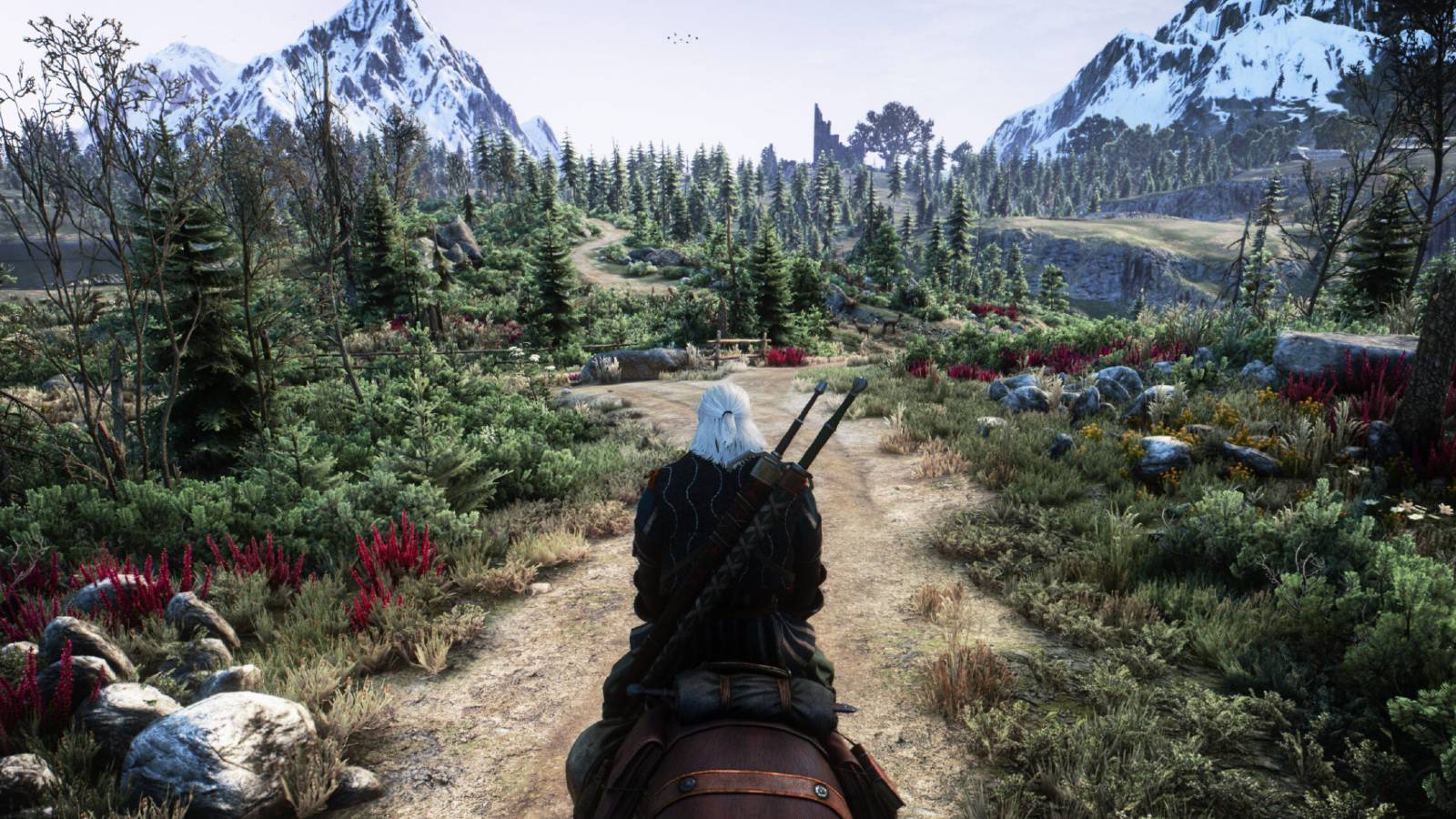 cd projekt red next gen update