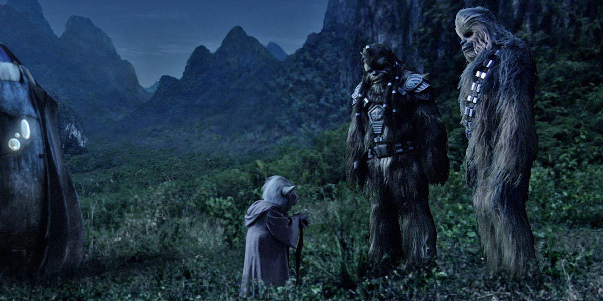 Wookies With Yoda In Star Wars